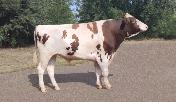 МАРКОС 920  ET